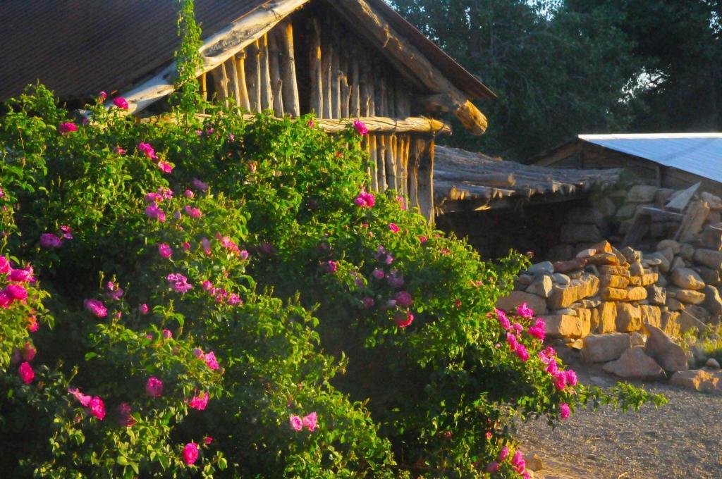 Canyon Of The Ancients Guest Ranch Cortez Ngoại thất bức ảnh