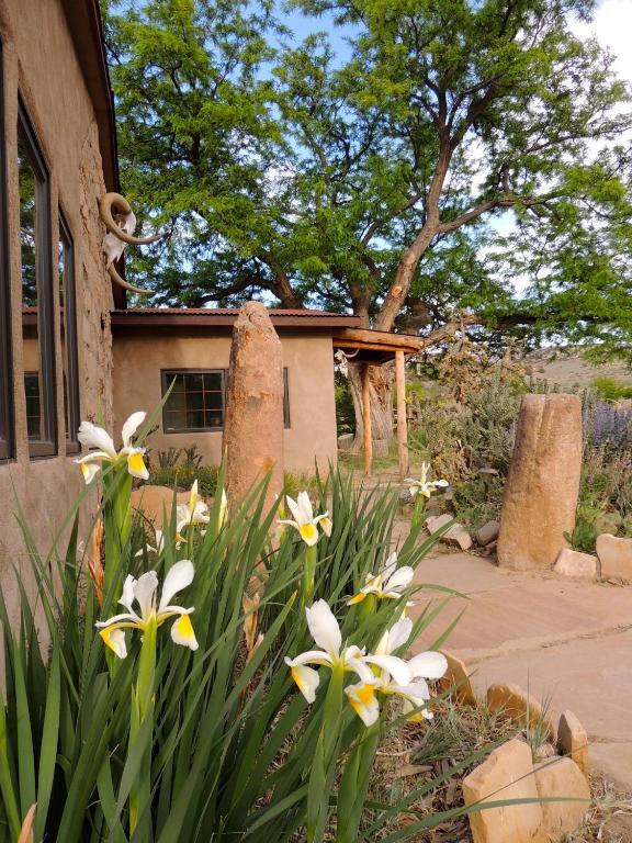 Canyon Of The Ancients Guest Ranch Cortez Ngoại thất bức ảnh